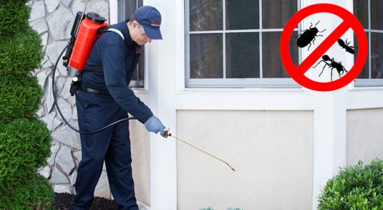 Ulus Kemirgen İlaçlama böcek ilaçlama ve haşere kontrolü — ilaclama-tr.com